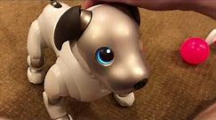 Sony Aibo ERS-1000 Unboxing!