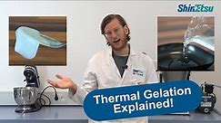 Thermal Gelation of TYLOPUR - Best Bite for Plant-Based with Methylcellulose