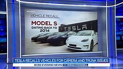 Tesla recalls vehicles for safety issues
