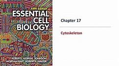 Cytoskeleton Part I