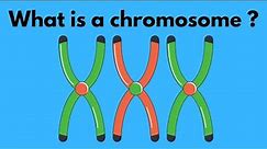 What is a chromosome?