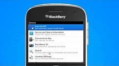 How to activate APN blackberry settings on blackberry handset