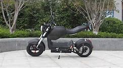 Rooder big wheel electric scooter R804-C1