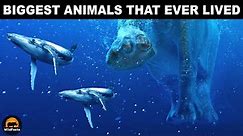 Which were the biggest animals that ever lived on Earth?
