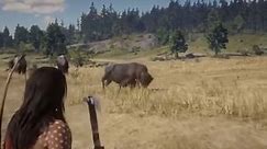 Native American Man Hunting A Legendary Bison