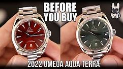 FINALLY! NEW 2022 Omega Aqua Terra 38mm - Watch Review