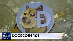 Dogecoin, explained