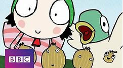 Sarah & Duck: Volume 1 Episode 22 Tapping Shoes
