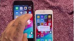 iPhone 6 plus vs iPhone 6 vs iPhone 7 vs iPhone 8