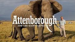 Attenborough and the Giant Elephant | The True Story of Jumbo