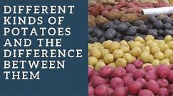 Different kinds of potatoes and the difference between them