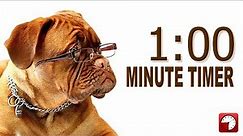 1 Minute Timer for PowerPoint and School - Alarm Sounds with Dog Bark