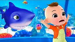 Baby Shark | + More Nursery Rhymes & Kids Songs | Little Baby