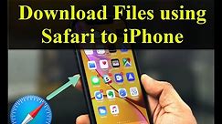 How to Download Any Files and Documents on iPhone/iPad