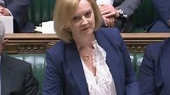 Liz Truss defended the Northern Ireland protocol bill as a 'patriot' – it completely backfired