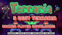 5 Best Terraria Hacked Player Downloads! (INFINITE MINIONS) (IMMORTAL) | Terraria 1.4