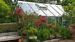Greenhouse: what you can grow in it, how to care and essential tools