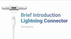 How Lightning Cable Works? | Brief Introduction of Lightning Connector