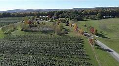 Apple Orchard For Sale