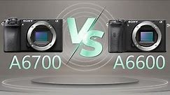 Camera Comparison : Sony A6700 vs Sony A6600