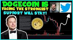 *CRUCIAL* NEWS FOR ALL DOGECOIN INVESTORS FAST! (Whales Activity!) Elon Musk, Founder Statements! 🤨