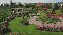 At Duluth’s Rose Garden, Thousands Of Vibrant Flowers Are Uniquely Situated On Lake Superior’s Shore