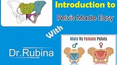 Pelvis | introduction | part 01 | Difference b/w male and female pelvis | lesser and greater pelvis