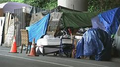 SCOTUS homelessness case could have implications for Bay Area: experts
