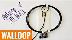 WALLOOP ANTENNA - Simple Homemade Project ( +openWSPR receiver )
