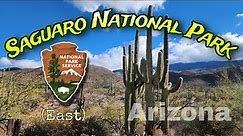 Hiking a Cactus Forest | Saguaro National Park East