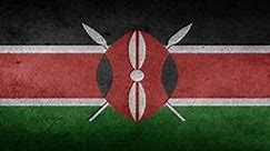 Kenya National ID Application Form [Downloaded Sample] | Thekonsulthub.com