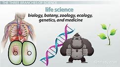 Natural Science | Definition, Branches & Examples