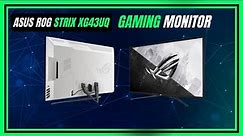 Asus ROG Strix XG43UQ 43” Large Gaming Monitor (Review)