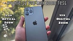 iPhone 12 Pro Max Camera Zoom Test | New 2.5x Telephoto Lens | 12x Digital Zoom!!