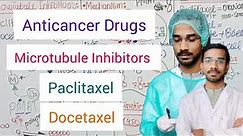 Anticancer Drugs | Microtubule Inhibitors | Paclitaxel | Docetaxel