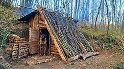 Bushcraft Winter Camping - Build Survival Forest Shelter - Off Grid Tiny House - Diy - Asmr