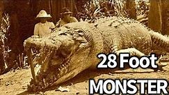 Super Crocs: Giant Crocodile Documentary