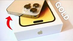 iPhone 14 Pro Max Gold Unboxing & First Look! *Gold is Best*