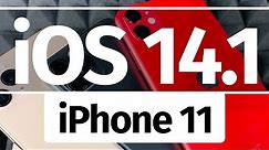 How to Update iPhone 11 to iOS 14.1 - iPhone 11 Pro, iPhone 11 Pro Max