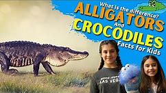 Differences Between an Alligator and Crocodile | Alligator vs Crocodile - Facts for Kids
