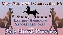 Preview - 2024 Eastern American Saddlebred Auction Sale