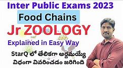 Different Types of Food Chains Explained in Easy Way || Jr Zoology Most Important Questions