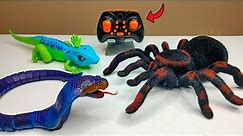 RC Realistic Tarantula Spider Unboxing & Testing - Chatpat toy tv
