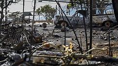 1,300 still missing after Maui fires