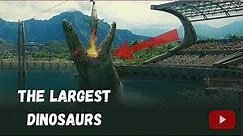 The Largest Dinosaurs That Ever Lived || Dinosaur Facts
