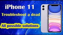 How to troubleshoot a dead iPhone 11 all possible solutions