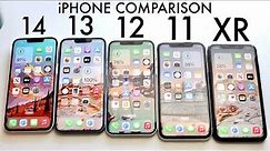 iPhone 14 Vs iPhone 13 Vs iPhone 12 Vs iPhone 11 Vs iPhone XR! (Comparison) (Review)