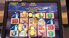 Massive Jackpot TimberWolf Slot Machine Bonus.