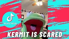 Kermit the Frog TikTok - Best Tik Tok Compilation 2021