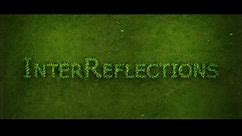 InterReflections (2020) by Peter Joseph